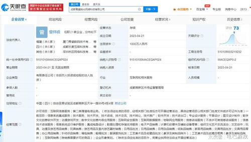 青瓷游戏成都新设公司，深化布局互联网数据服务